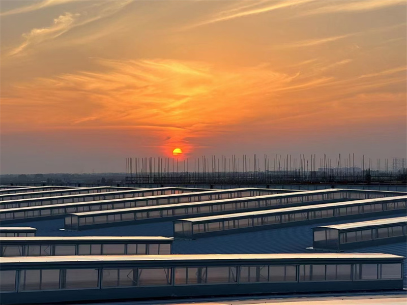 圓拱側(cè)開型天窗